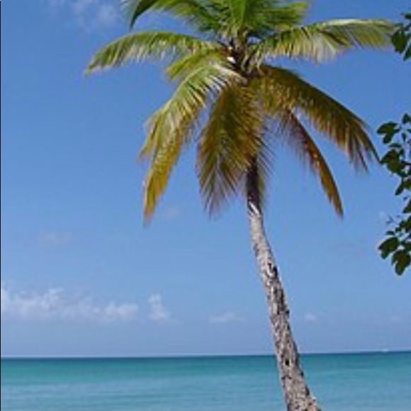 Meet your Posher, Michelle - Picture 1 of 1